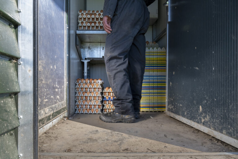 Top 3 Walk-In Freezer Troubleshooting Tips