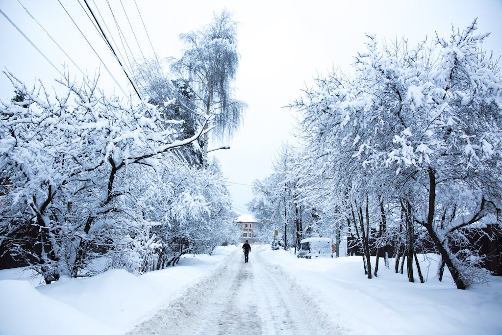 A tranquil winter scene with snow-laden trees, a lone walker, and a distant house.